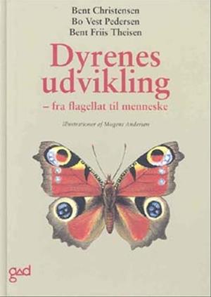 Dyrenes udvikling