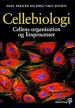 Cellebiologi