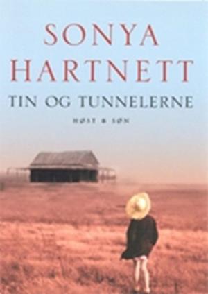 Tin og tunnelerne