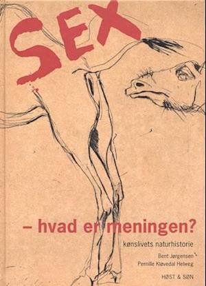 Sex - hvad er meningen?