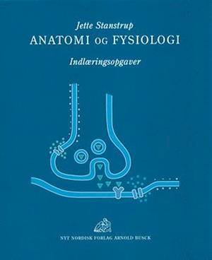 Anatomi og fysiologi  - Indlæringsopgaver