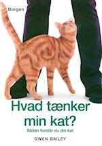 Hvad tænker min kat?