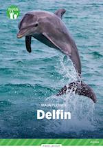 Delfin, Grøn Fagklub