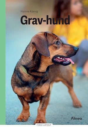 Gravhund, Grøn Fagklub