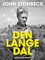 Den lange dal