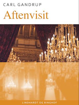Aftenvisit