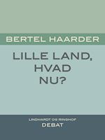 Lille land, hvad nu?