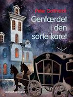 Genfærdet i den sorte karet