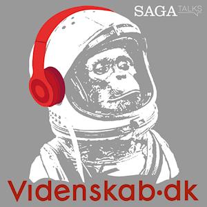 Videnskab.dk #10 - Dansk rumudstyr bidrager til året  astronyhed