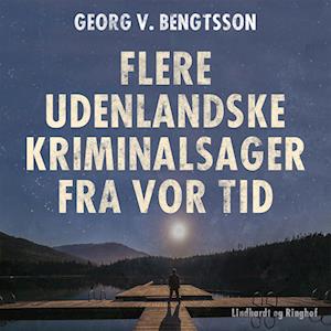 Flere udenlandske kriminalsager fra vor tid