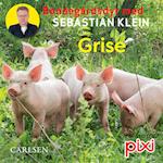 Bondegårdens dyr med Sebastian Klein: Grise