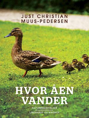 Hvor åen vander