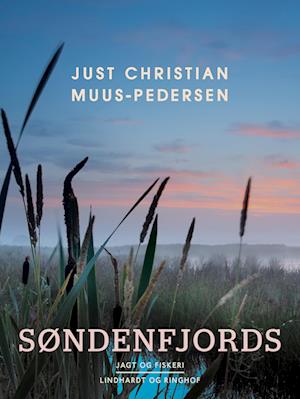 Søndenfjords