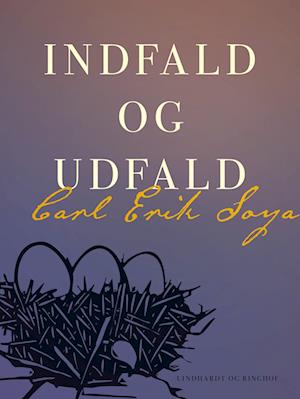 Indfald og udfald