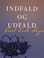 Indfald og udfald