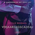 Verjaardagscadeau - erotisch verhaal