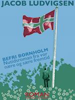 Befri Bornholm. Nutidsroman fra vor nære og sære fremtid