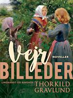 Vejrbilleder