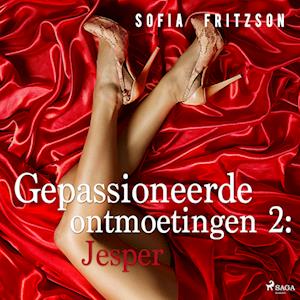 Gepassioneerde ontmoetingen 2: Jesper - erotisch verhaal