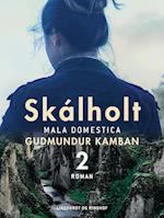 Skálholt 2