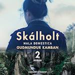 Skálholt 2