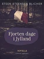 Fjorten dage i Jylland