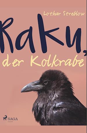 Raku, der Kolkrabe