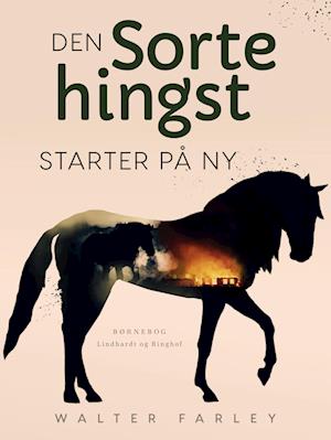 Den sorte hingst starter på ny