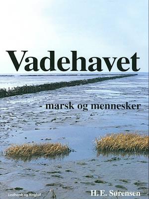 Vadehavet