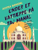 Under et vattæppe på Taj Mahal og andre kaotiske dannelsesrejser