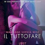 Il tuttofare - Letteratura erotica