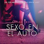 Sexo en el auto - Literatura erótica