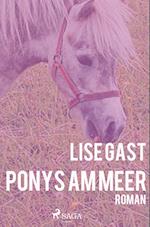 Ponys am Meer