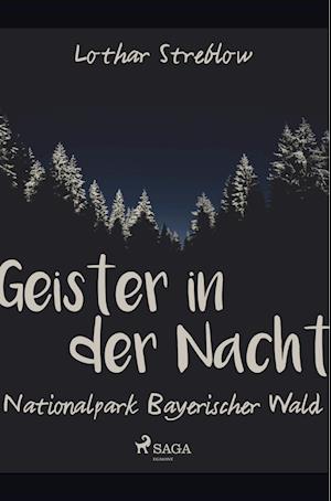 Geister in der Nacht. Nationalpark Bayerischer Wald