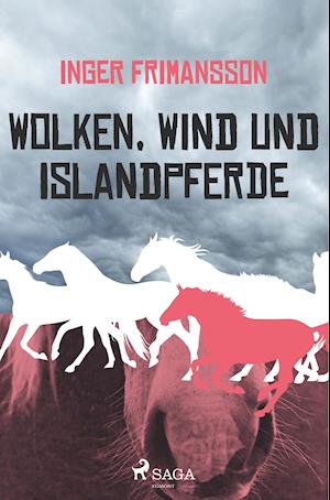 Wolken, Wind und Islandpferde