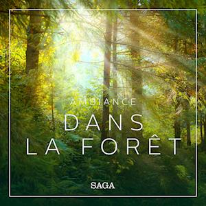 Ambiance - Dans la forêt