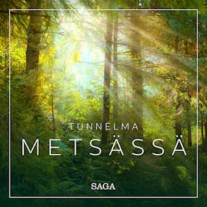 Tunnelma - Metsässä