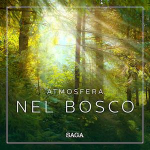 Atmosfera - Nel bosco