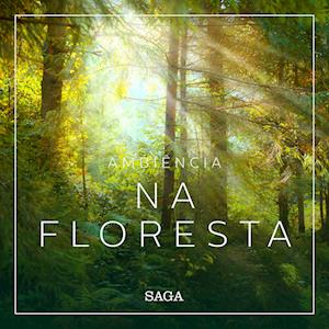 Ambiência - Na Floresta