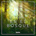 Ambiente - En el bosque