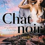 Chat noir – Une nouvelle érotique