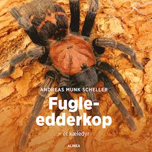 Fugle-edderkop - et kæledyr