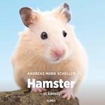 Hamster - et kæledyr