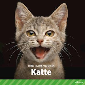 Katte