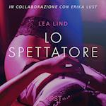 Lo spettatore - Breve racconto erotico