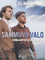 Sammuva valo: romaani kielitaistelusta