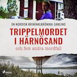 Trippelmordet i Härnösand, och fem andra mordfall