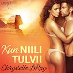 Kun Niili tulvii - eroottinen novelli