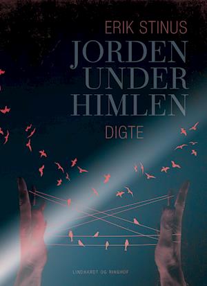 Jorden under himlen