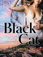 Black Cat - Erotic short story